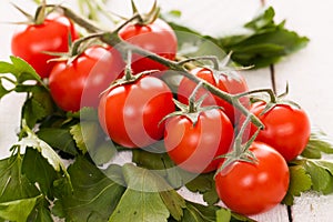 Cherry tomatoes on a branch with parsley