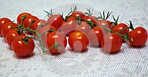 Cherry tomatoes on a branch in two rows on a table with a blanket tablecloth