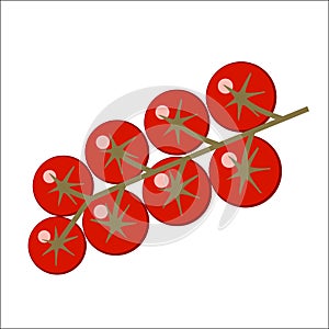 Cherry tomatoes branch on white background