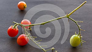Cherry Tomatoes Close Up Image
