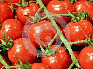 Cherry tomatoes close-up