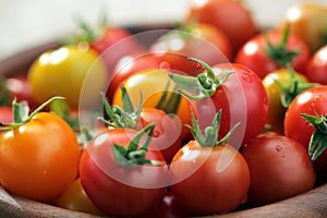 Cherry tomatoes close up. Macro shot.