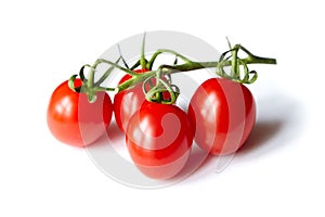 Cherry tomatoes cluster isolated on white. Fresh vegetable. Four red cherry tomatoes on branch