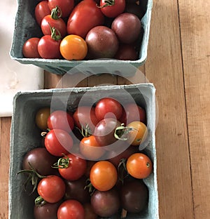 Cherry tomatoes csa