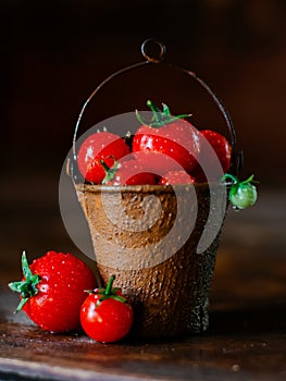 Cherry tomatoes in a decorative rusty old bucket on a dark rustic background