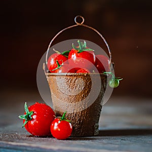 Cherry tomatoes in a decorative rusty old bucket on a dark rustic background