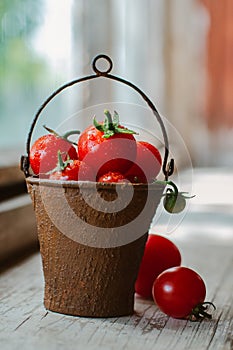 Cherry tomatoes in a decorative rusty old bucket on a dark rustic background