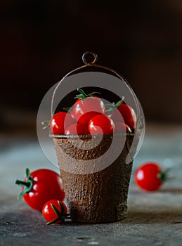 Cherry tomatoes in a decorative rusty old bucket on a dark rustic background