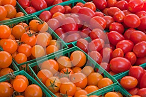 Cherry Tomatoes at a Farmer's Market