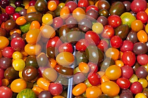 Cherry tomatoes photo