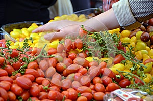 Cherry Tomatoes Farmer Market