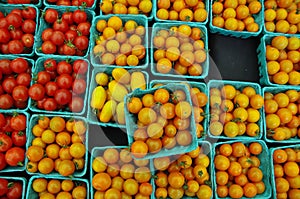 Cherry tomatoes in green containers