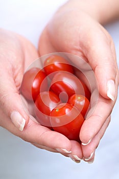 Cherry tomatoes into the hands