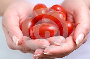 Cherry tomatoes into the hands