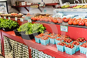 Cherry Tomatoes At Hudson Valley Country Store