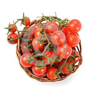 Cherry tomatoes isolated