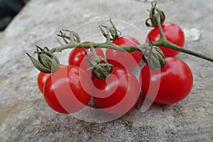 Cherry tomatoes isolated over grey background