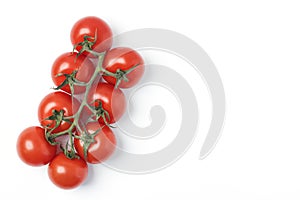 Cherry tomatoes isolated on white background. Branch of fresh tomatoes. Top View. Copy space