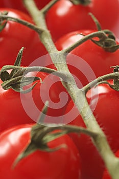 Cherry Tomatoes Macro