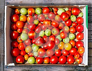 Cherry tomatoes on a old wood tables at a market