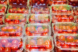 Cherry tomatoes packed in plastic containers