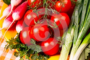 Cherry tomatoes, radish and green onions on yellow plate