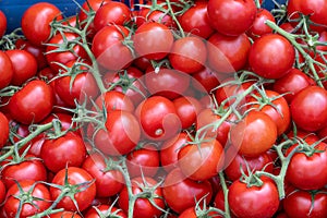 Cherry tomatoes for sale