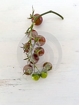 Cherry tomatoes with stem and branch on wood board, copy space, vertical, close up