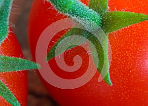 Cherry Tomatoes on Stem