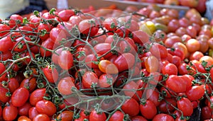 Cherry tomatoes, vegetables from the farmers market