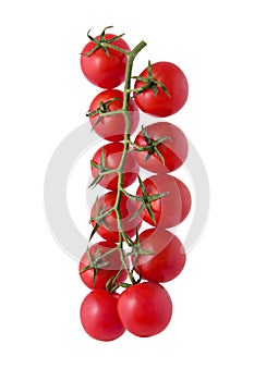 Cherry tomatoes on vine