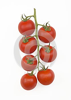 Cherry tomatoes on vine