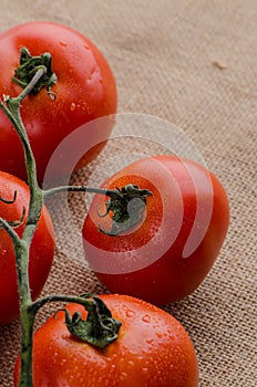 Cherry tomatoes vine