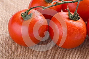 Cherry tomatoes vine