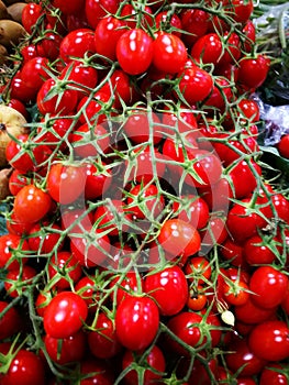 Cherry tomatoes on vine