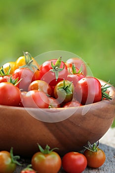 Cherry tomatoes in a wooden plate. Autumn background.