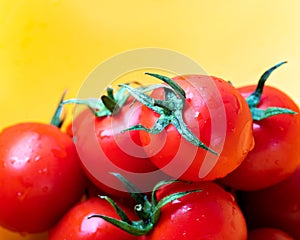Cherry tomatoes on a yellow background with water drops. Washed cherry tomatoes with water drops.