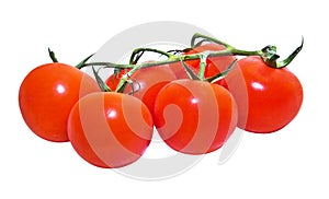 Cherry Tomatos Isolated