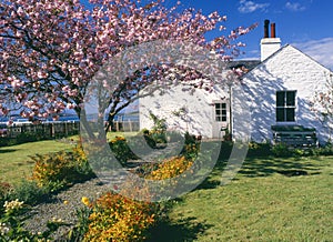 Cherry tree cottage, Crinan, Scotland