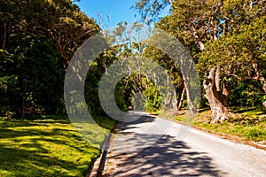 Cherry Tree Hill, a popular historic avenue in the North Eastern part of Barbados,
