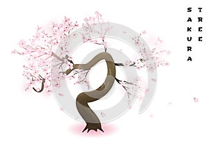 Cherry tree. Realistic pink blossoming spring japanese sakura. Vector illustration