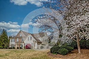 Cherry Tree by Stone and Siding Home