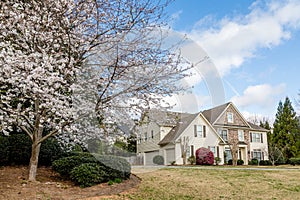 Cherry Tree by Stone and Siding House