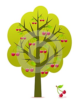 Cherry tree vector