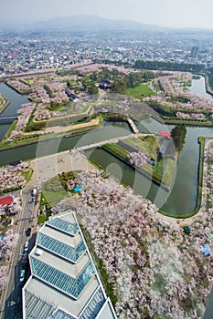 Cherry trees along the moats of Fort Goryokaku as seen from Goryokaku Tower,Hakodate,Hokkaido,Japan in spring.