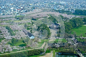 Cherry trees along the moats of Fort Goryokaku as seen from Goryokaku Tower,Hakodate,Hokkaido,Japan in spring.