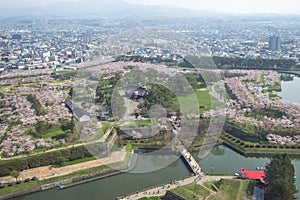 Cherry trees along the moats of Fort Goryokaku as seen from Goryokaku Tower,Hakodate,Hokkaido,Japan in spring.