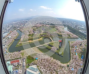 Cherry trees along the moats of Fort Goryokaku as seen from Goryokaku Tower,Hakodate,Hokkaido,Japan in spring.