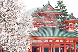 Cherry trees of Heian-jingu shrine