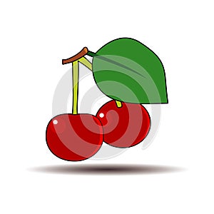 Cherry, vector.
